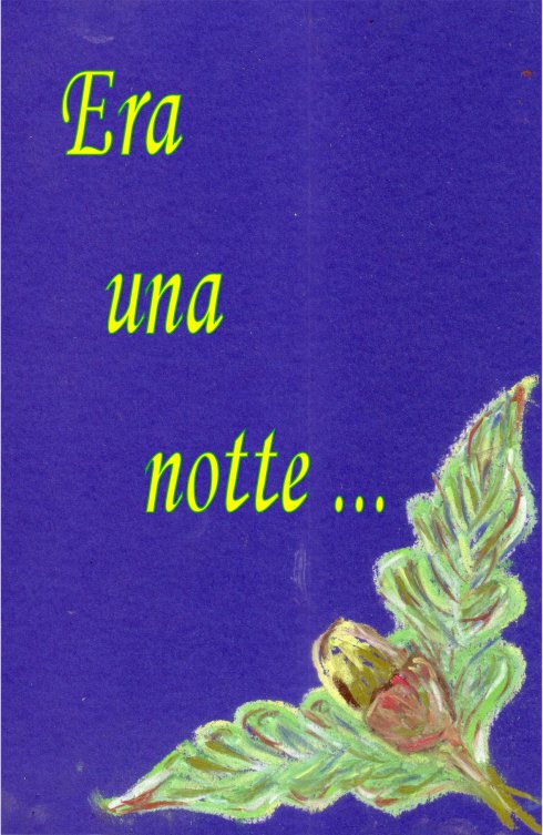 Era una notte...