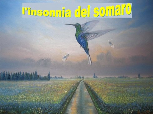 l'insonnia del somaro