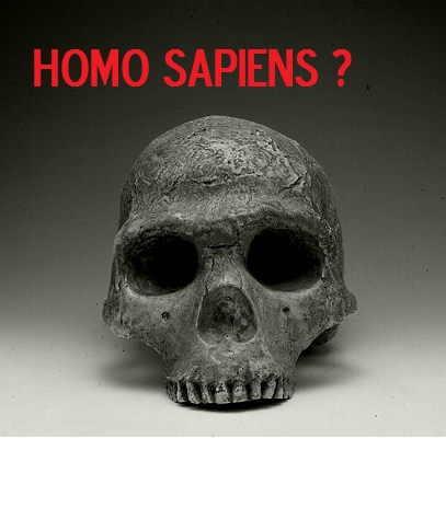 homo sapiens ?