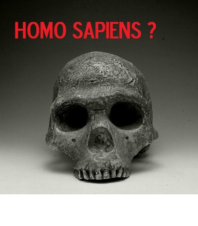 homo sapiens ?