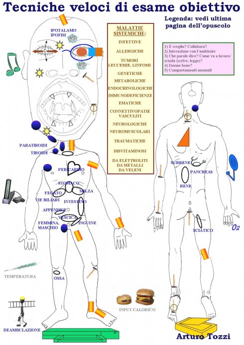 Tecniche veloci di esame obiettivo